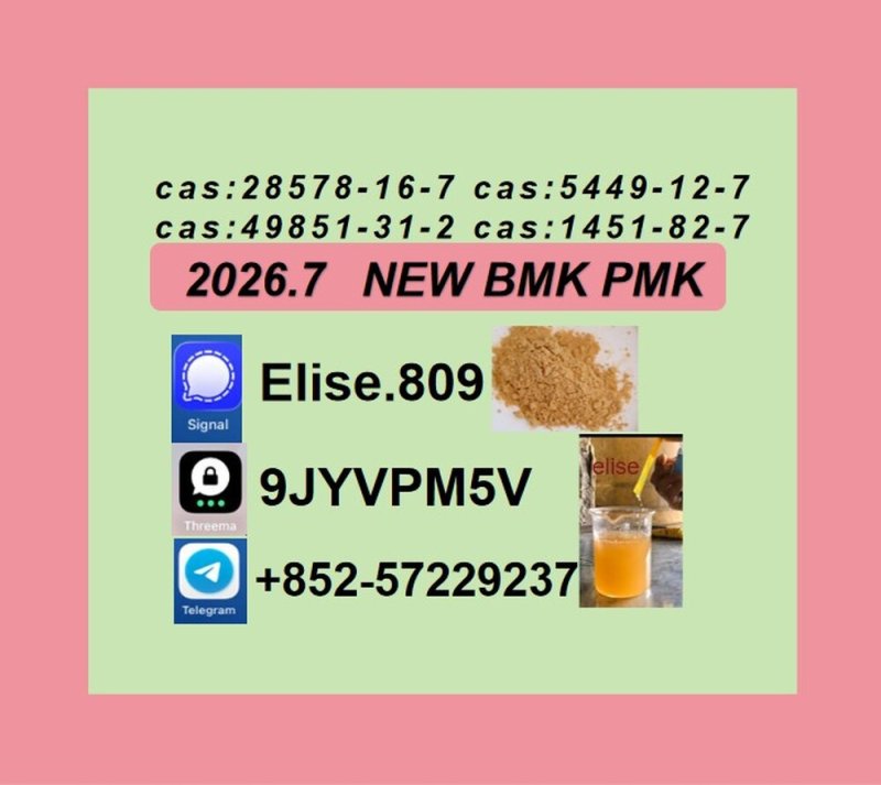 Groundbreaking 5449-12-7 BMK Hot Sale 28578-16-7 PMK Oil Powder Raw Material