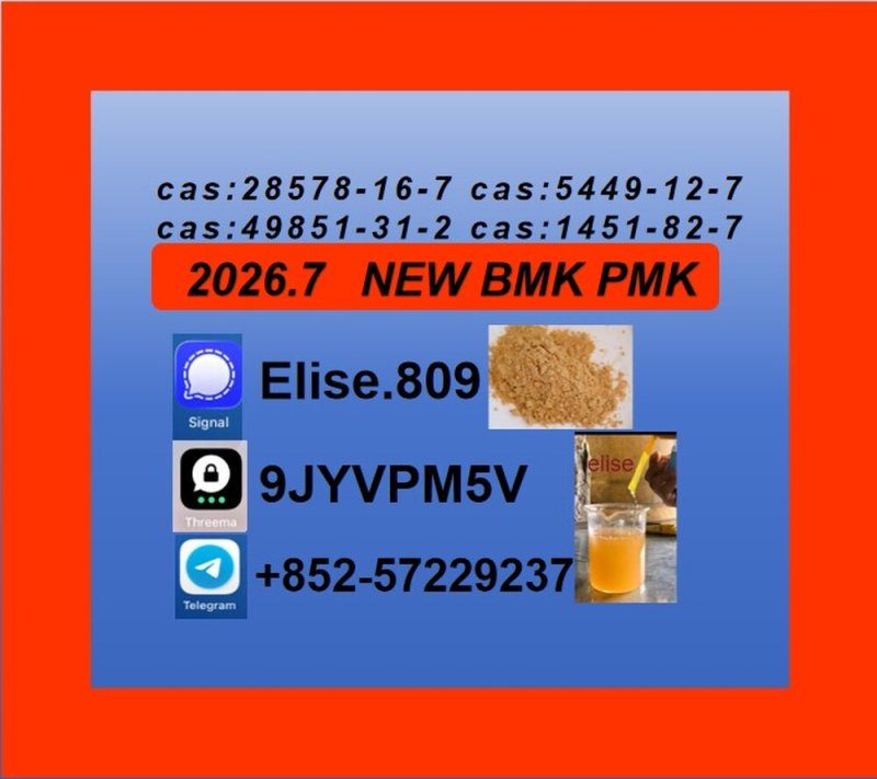 Robust Premium BMK 5449-12-7 PMK 28578-16-7