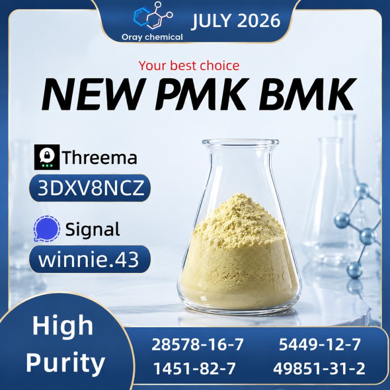 CAS 28578-16-7 PMK Ethyl Glycidate Stable Supply Manufacturer
