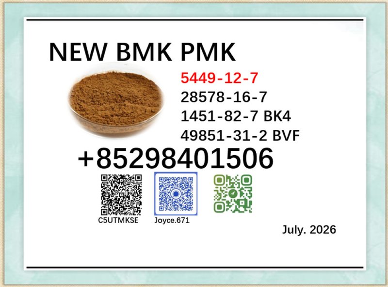 Doorstep delivery new PMK BMK cas 5449-12-7 and 28578-16-7 sodium salt