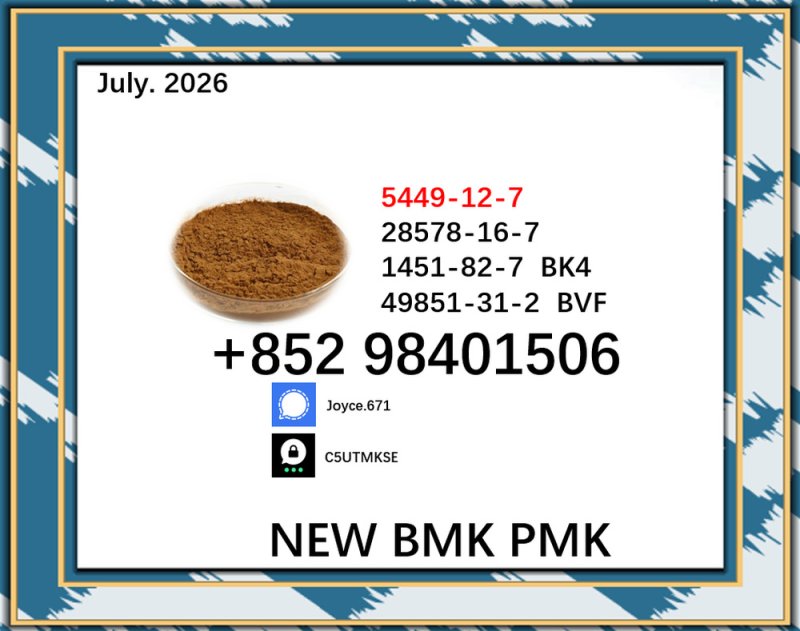 PMK 28578-16-7 BMK 5449-12-7 glycidic acid sodium salt