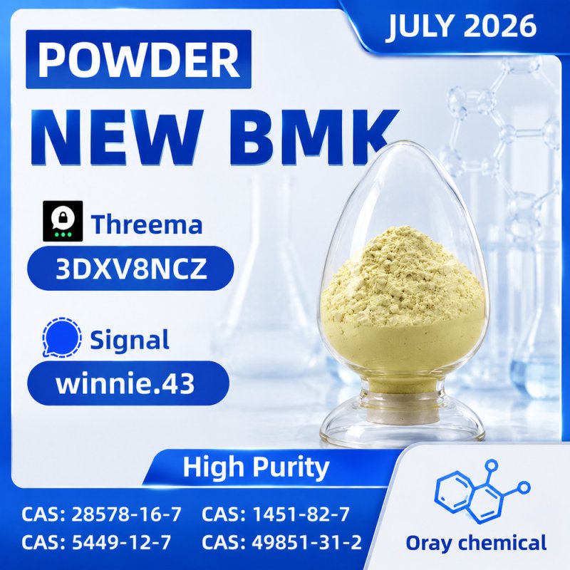 PMK Ethyl Glycidate CAS 28578-16-7 High Quality Manufacturer Direct Supply