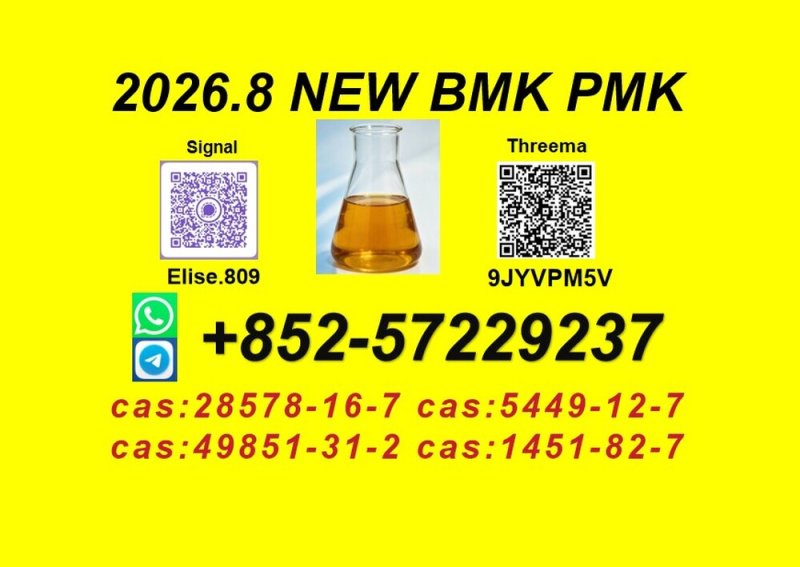 High Purity PMK Oil CAS 28578-16-7 | Professional Supplier