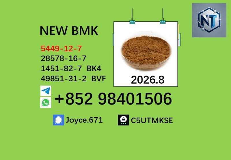 CAS 5449-12-7 BMK PMK 28578-16-7 factory supplier wholesale