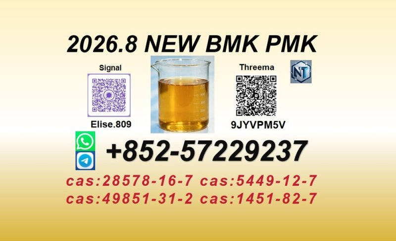 PMK Glycidate Powder CAS 28578-16-7 | Bulk Chemical Supply