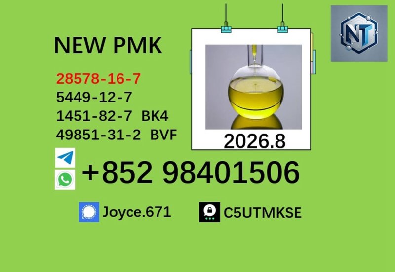 5449-12-7 BMK glycidic acid sodium salt PMK 28578-16-7