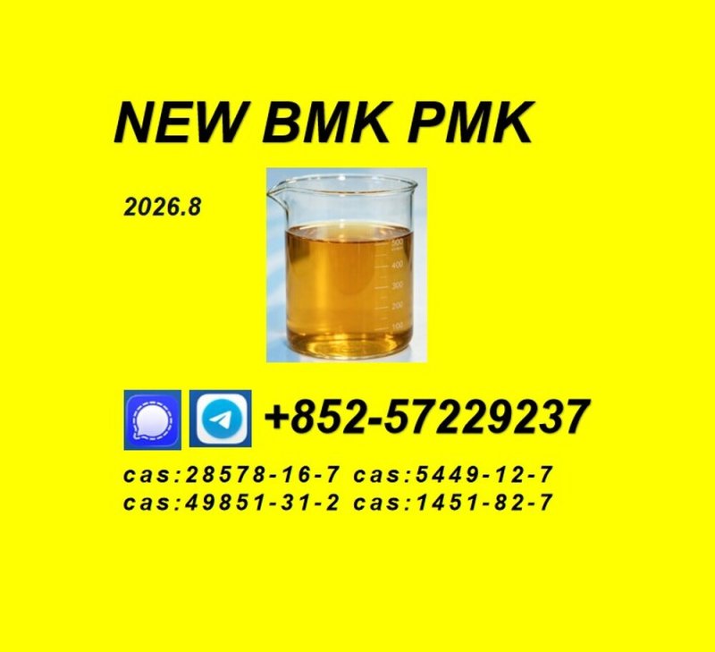 PMK Glycidate Powder CAS 28578-16-7 | High Purity