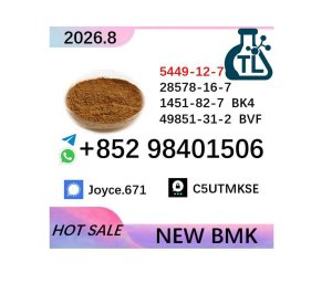 Top Quality Chemical Fast Delivery CAS 5449-12-7 BMK
