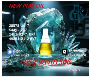 PMK Glycidate Powder | CAS 28578-16-7 | Factory Direct Supply