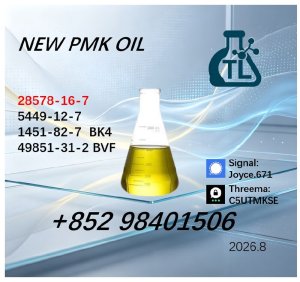 High Quality PMK Oil CAS 28578-16-7 | Chemical Manufacturer
