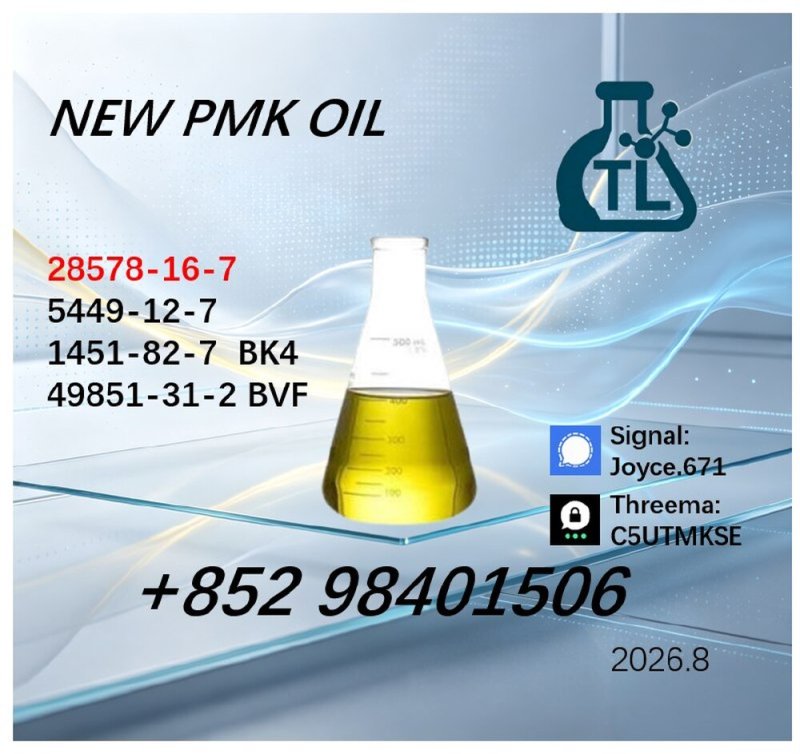 High Quality PMK Oil CAS 28578-16-7 | Chemical Manufacturer