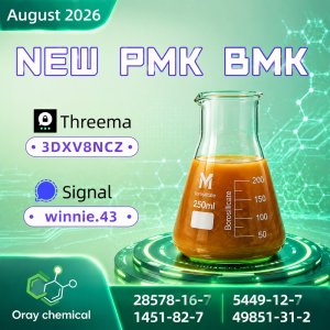 PMK CAS 28578-16-7 Detailed Product Information