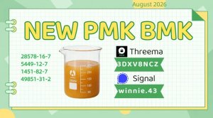 PMK CAS 28578-16-7 Detailed Product Information