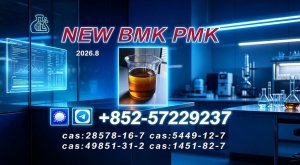 New P.M.K 28578-16-7/ B.M.K C.AS:5449-12-7/ Premium High Quality