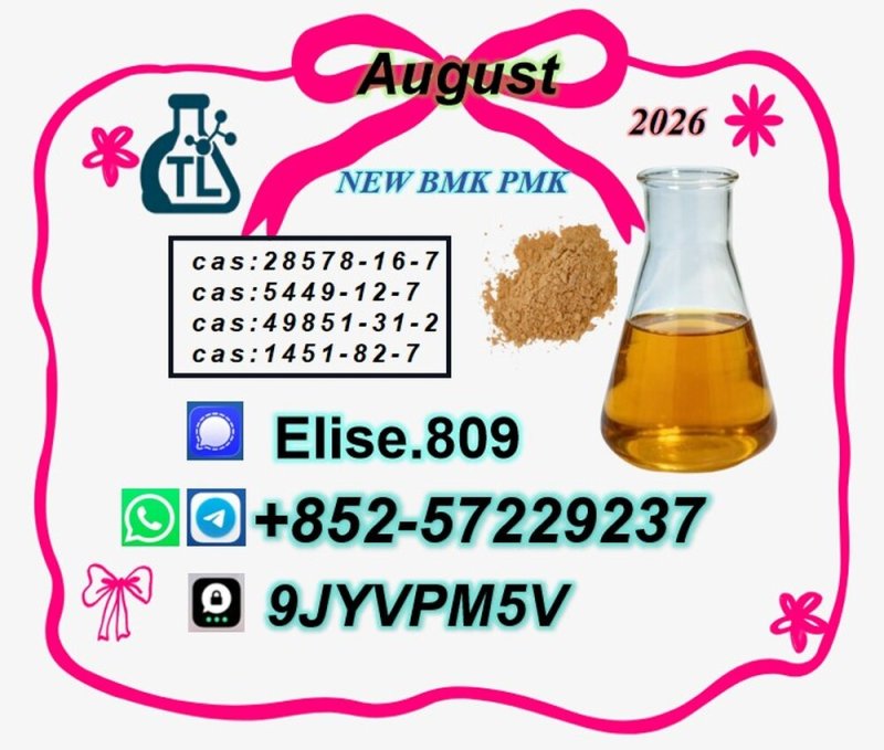 High Quality PMK Oil C.A.S 28578-16-7 | Buy gGood  New