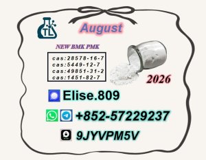 P.M.K Oil Powder C.AS 28578-16-7 & B.M.K C.AS 5449-12-7 | Industrial Chemical Supplier