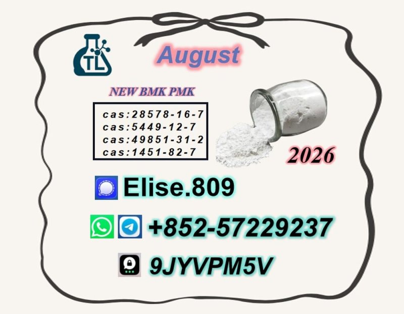 P.M.K Oil Powder C.AS 28578-16-7 & B.M.K C.AS 5449-12-7 | Industrial Chemical Supplier