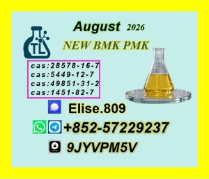 High Quality P.MK Oil C.AS 28578-16-7 | Trusted Long-Term Partnerships