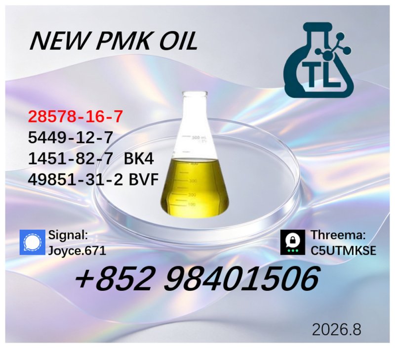 PMK Glycidate Powder CAS 28578-16-7 | Trusted Manufacturer