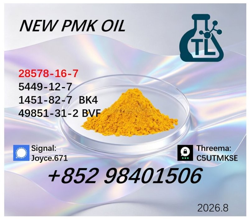High Purity Specialty Manufacturer BMK 5449-12-7 PMK 28578-16-7