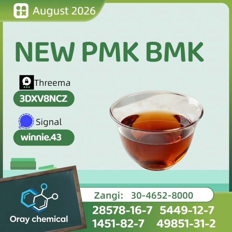 BMK Glycidic Acid Sodium Salt CAS 5449-12-7 Laboratory Reference