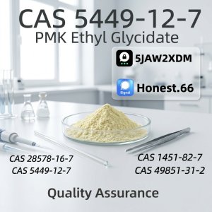 Top Selling BMK Glycidic Acid Sodium Salt – CAS 5449-12-7