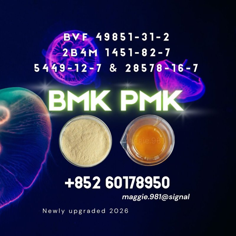 CAS 5449-12-7 New B.MK PM.K Fast Shipping