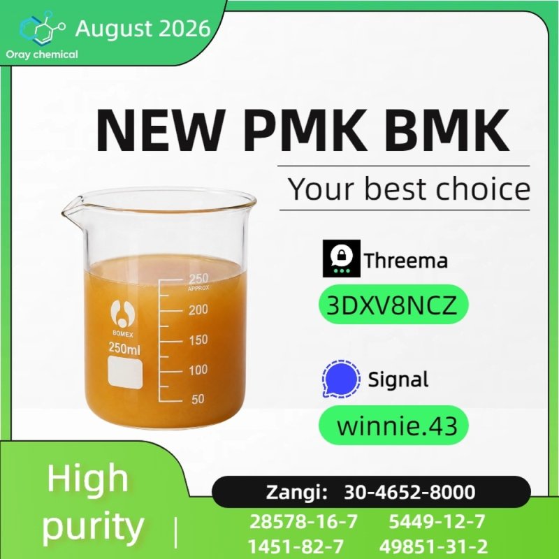 CAS 5449-12-7 BMK Glycidic Acid Sodium Salt Chemical Information