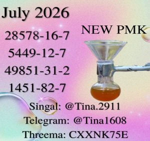 It promotes efficient data exchange 28578-16-7