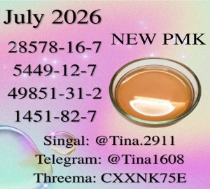 We have chemical raw materials28578-16-7