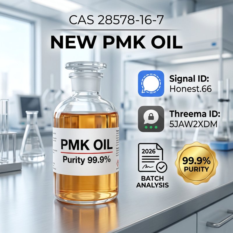 PMK Glycidate Oil 28578-16-7 | High-Purity Research Grade Guide