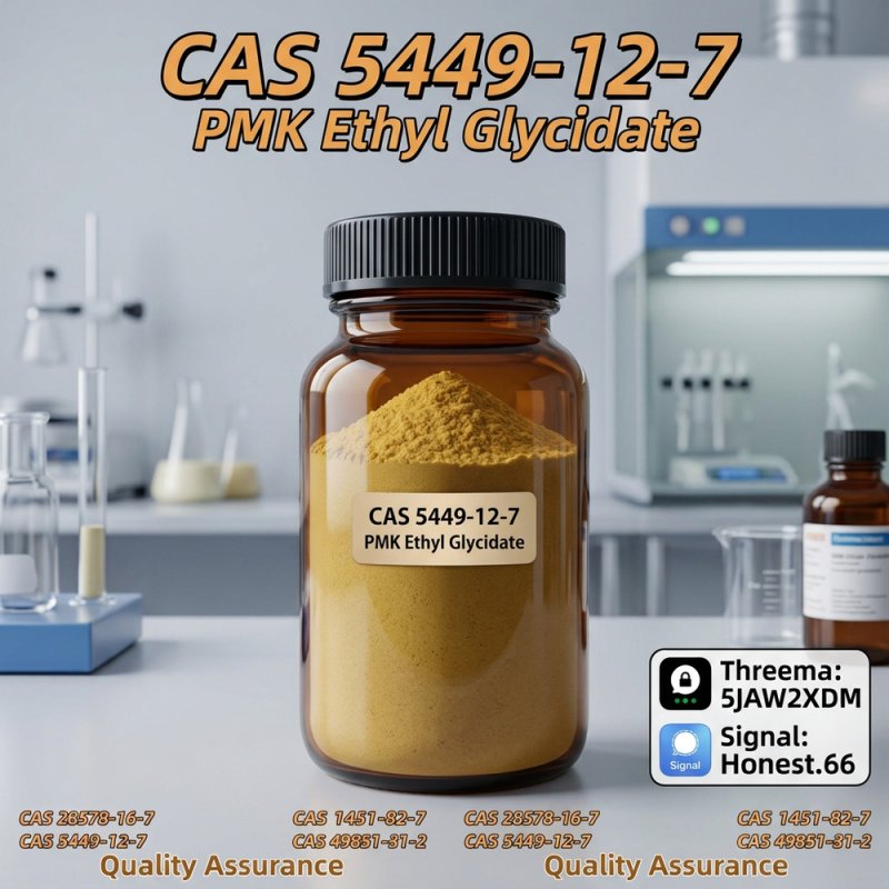 BMK Glycidate Sodium Salt (CAS 5449-12-7) Bulk Manufacturer Price