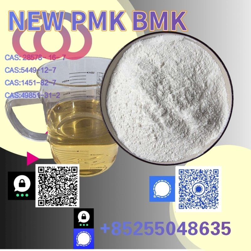 Reliable Solutions PMK Oil CAS 28578-16-7 Lasting Partn