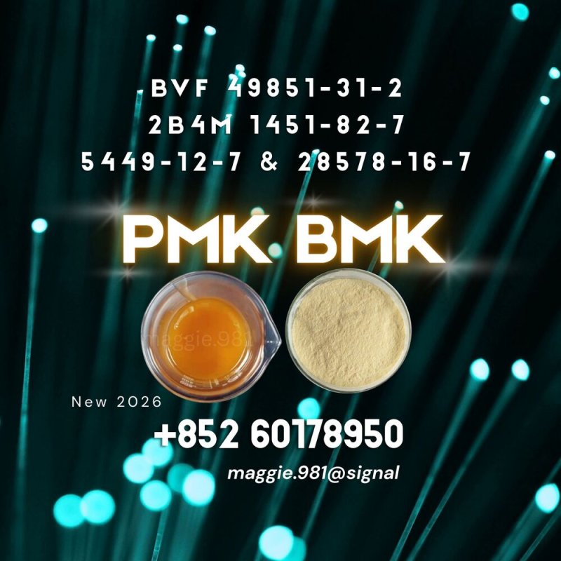 CAS 28578-16-7 New PM.K B.MK Strong reputation
