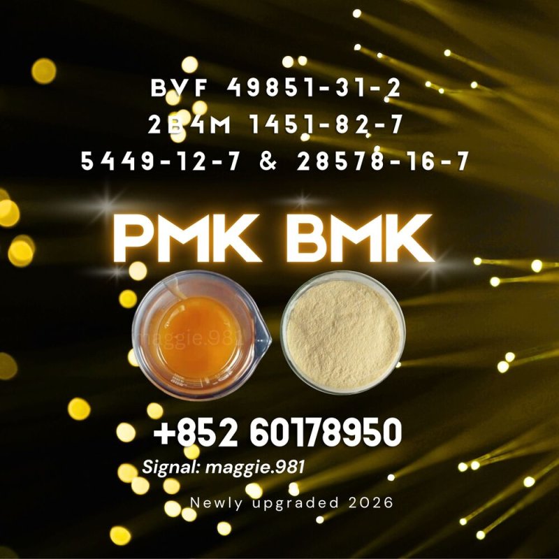 CAS 28578-16-7 New PM.K B.MK Reliable quality control