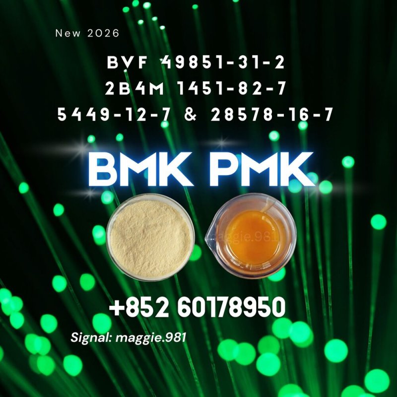 CAS 5449-12-7 New B.MK PM.K Better Performance