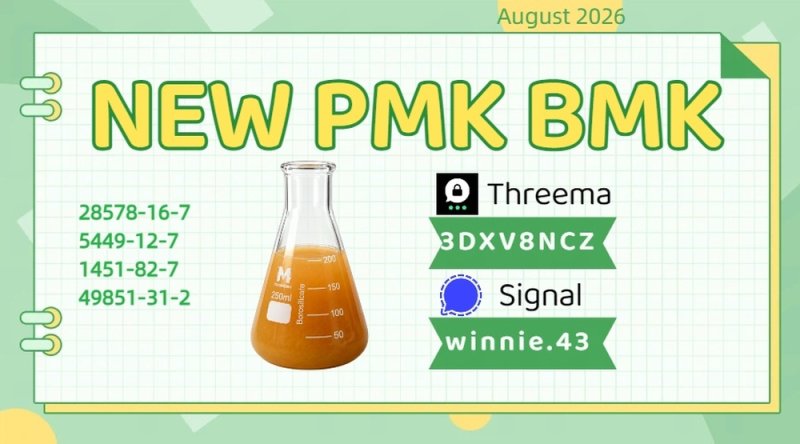 PMK Oil CAS 28578-16-7 Research Information