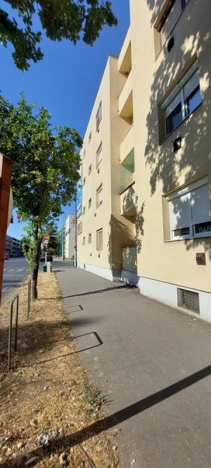 Egyetem sugárúton lakás magyar diakoknak kiadó!