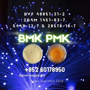New B.MK CAS 5449-12-7 PM.K best value