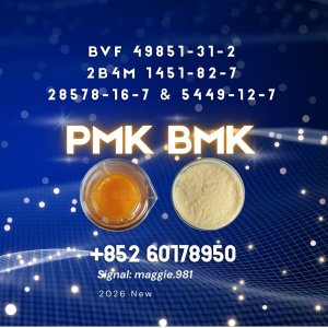 CAS 28578-16-7 New PM.K low temperature production