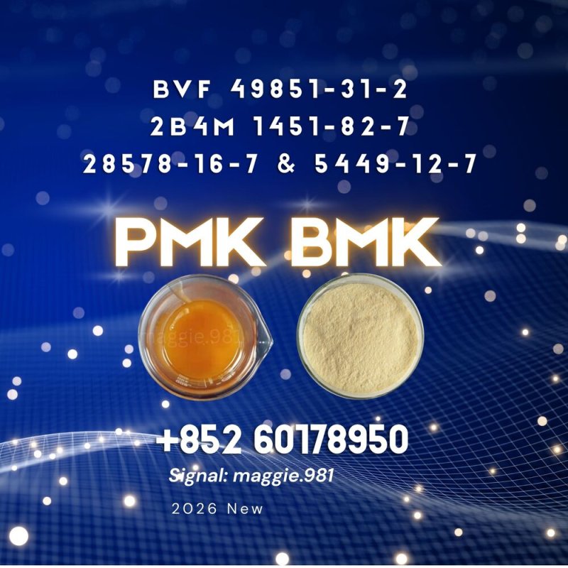 CAS 28578-16-7 New PM.K low temperature production