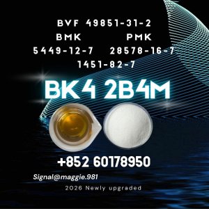 BK4 1451-82-7 Professional Export Team