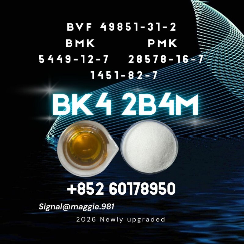 BK4 1451-82-7 Professional Export Team