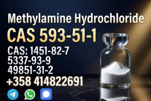 Buy High Quality CAS 593-51-1 Methylamine Hydrochloride at Best Price
