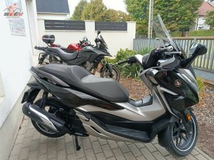 Honda NSS300 Forza (2019)
