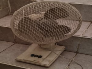 Hauser F-23 asztali ventilátor 2 sebességes 26cm kosár működő