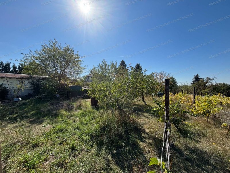 Környén, a Homokhegy II. dűlőben, 863 m2-es zártkert eladó