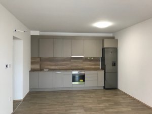 Győr-Szabadhegyen nappali + 2 szobás, erkélyes, bútorozatlan téglalakás kiadó