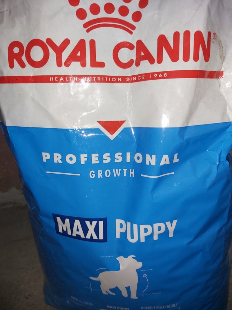 Royal Canin maxi puppy 20 kg