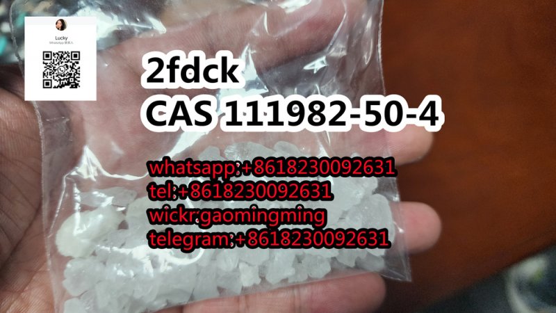 CAS 111982-50-4  2fdck 2f-dck Popular in the United States